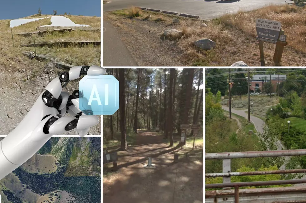 Opting Outside This Friday? A.I. Roasted These Popular Missoula Trails